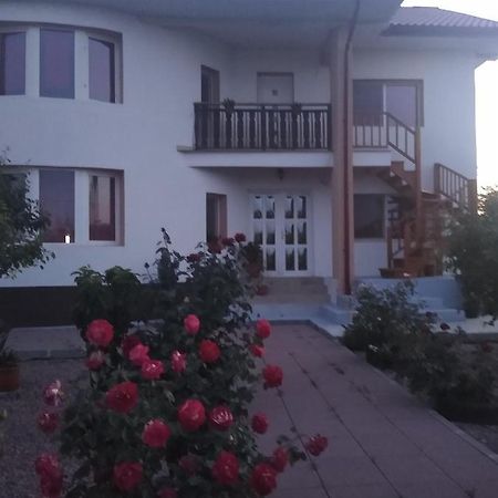 Casa Doina Hotell Douăzeci şi Trei August Exteriör bild