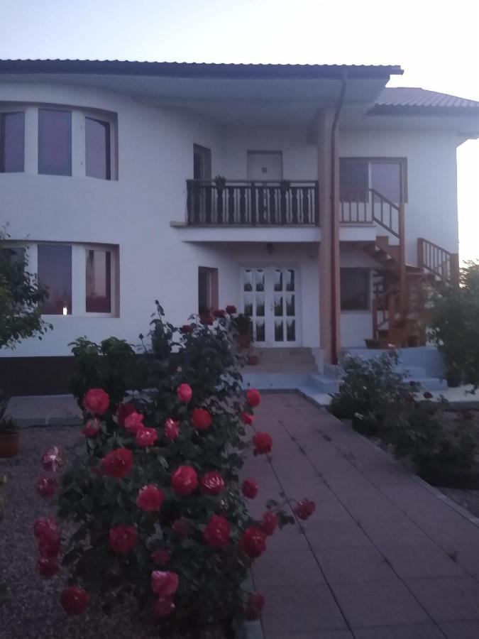 Casa Doina Hotell Douăzeci şi Trei August Exteriör bild