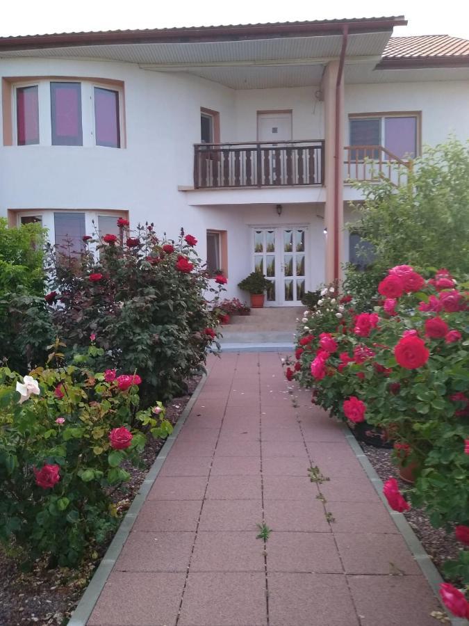 Casa Doina Hotell Douăzeci şi Trei August Exteriör bild