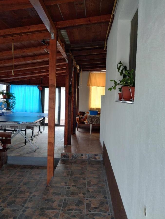 Casa Doina Hotell Douăzeci şi Trei August Exteriör bild