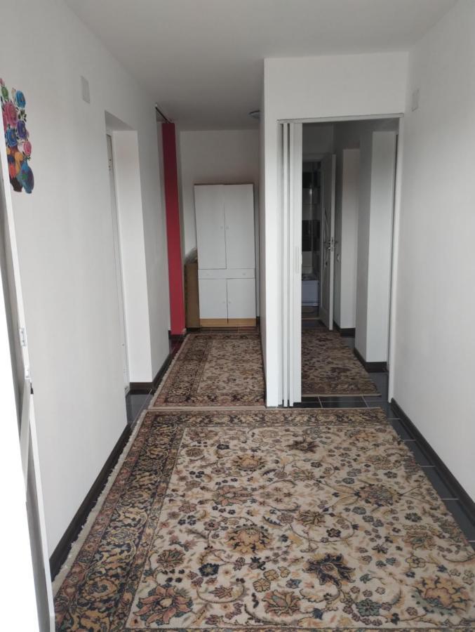 Casa Doina Hotell Douăzeci şi Trei August Exteriör bild