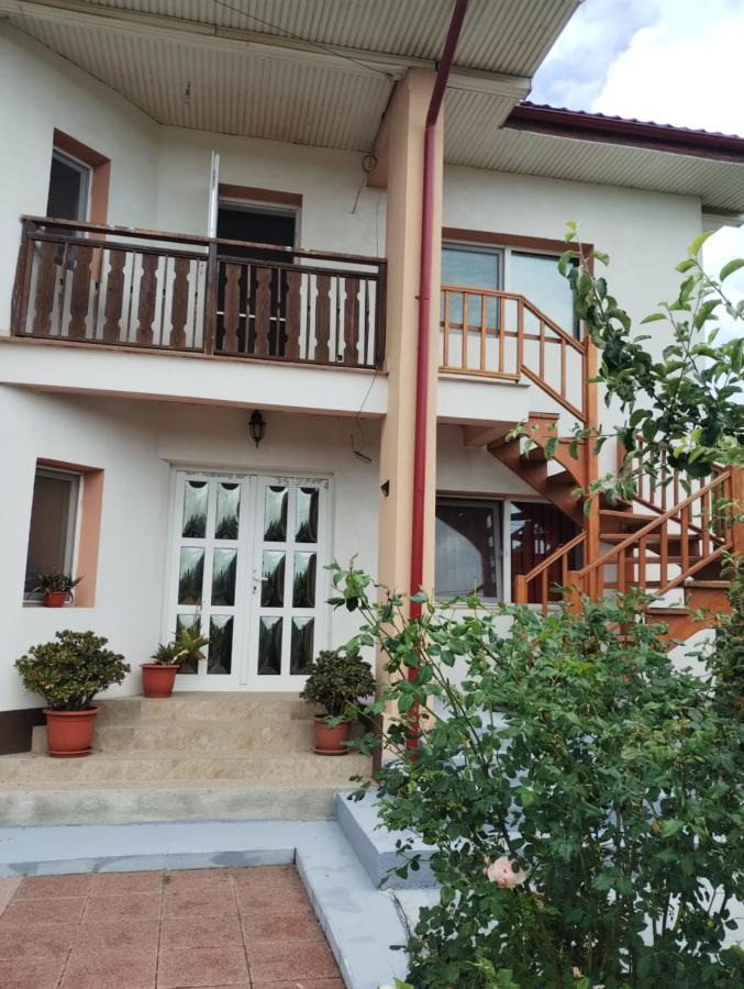 Casa Doina Hotell Douăzeci şi Trei August Exteriör bild