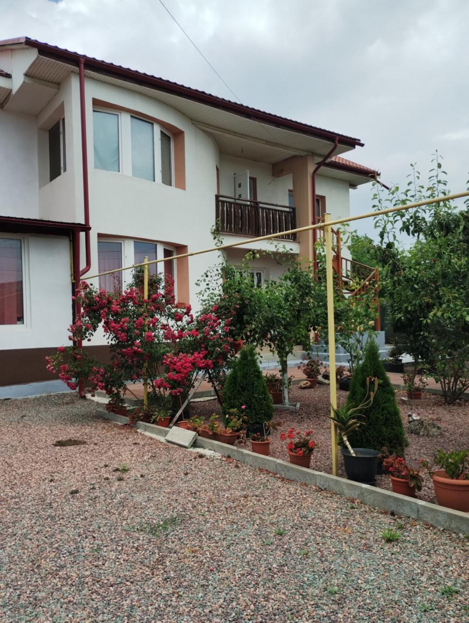 Casa Doina Hotell Douăzeci şi Trei August Exteriör bild