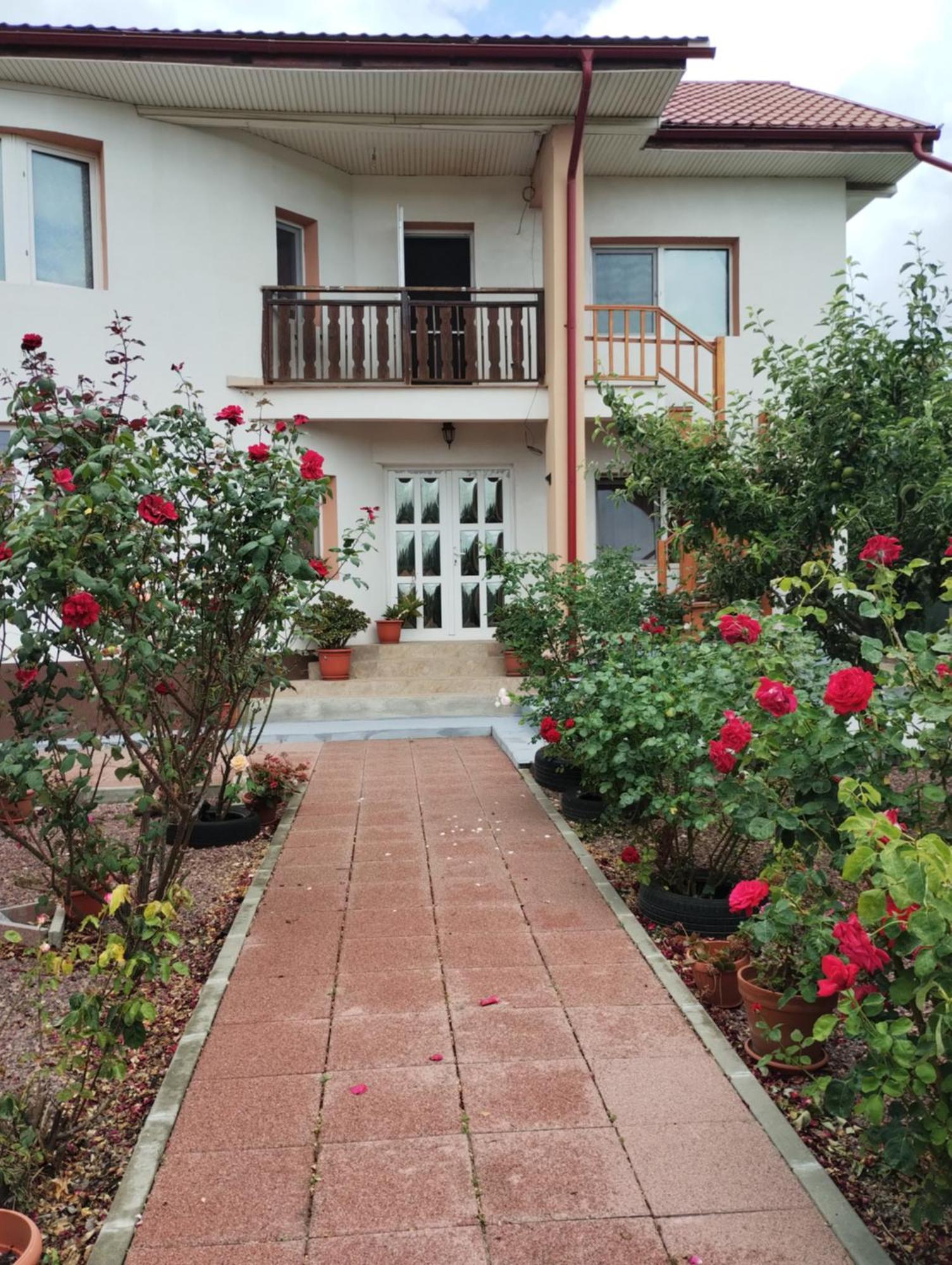 Casa Doina Hotell Douăzeci şi Trei August Exteriör bild
